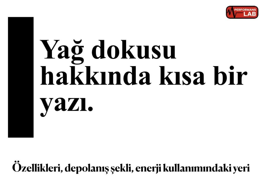 Yağ Dokusu ve Özellikleri