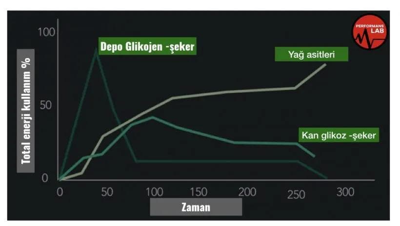 Protein Ve Karbonhidrat Desteği Kullanımı