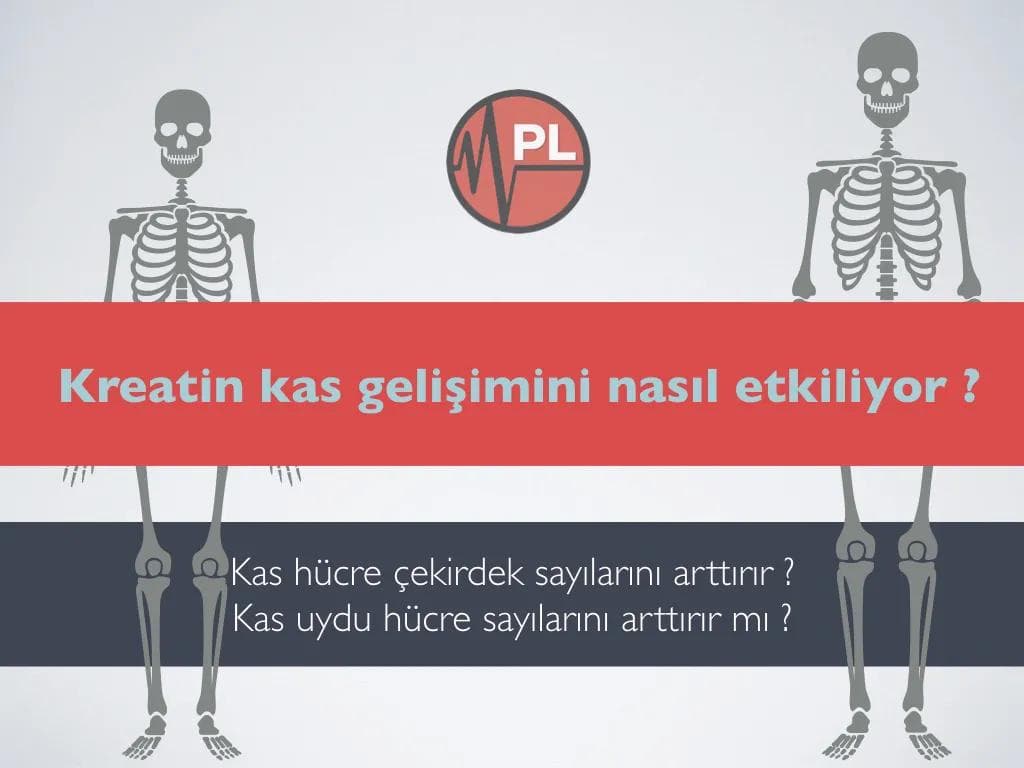 Kreatin Kasları Büyütür mü ?