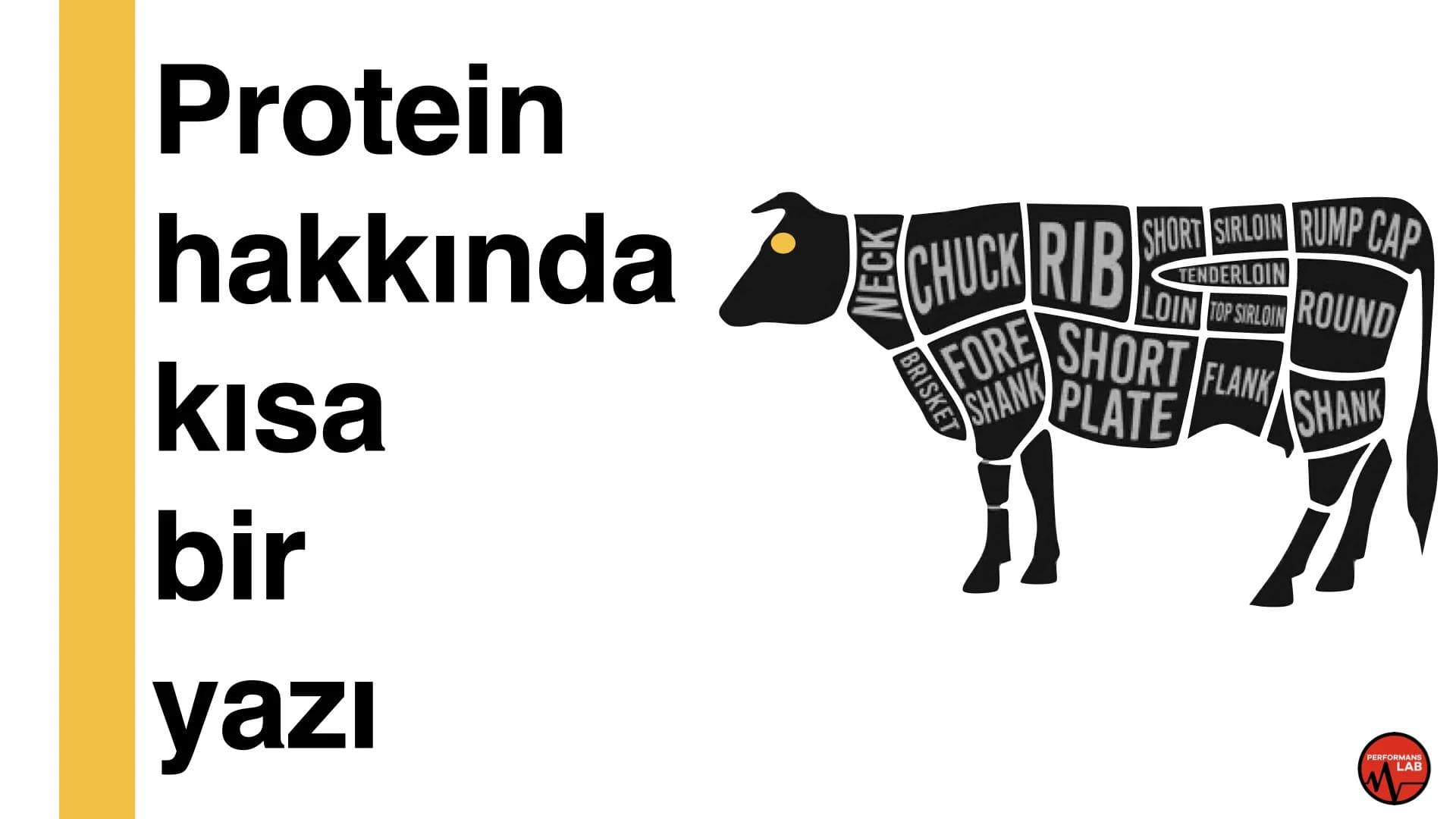 Protein hakkında kısa bir yazı.